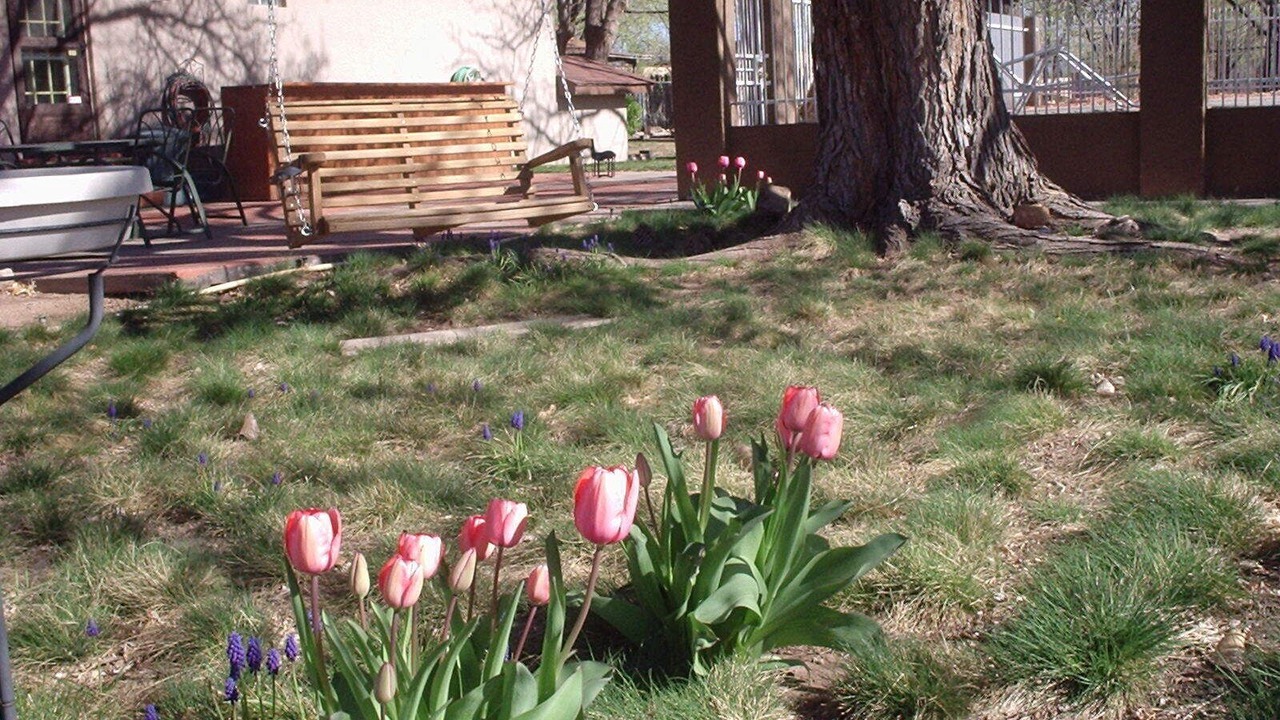 Photo of Outdoor in Vecinos Del Bosque