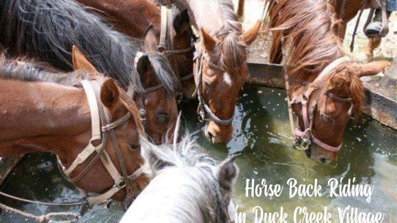 Photo of Others in Duck Creek Village