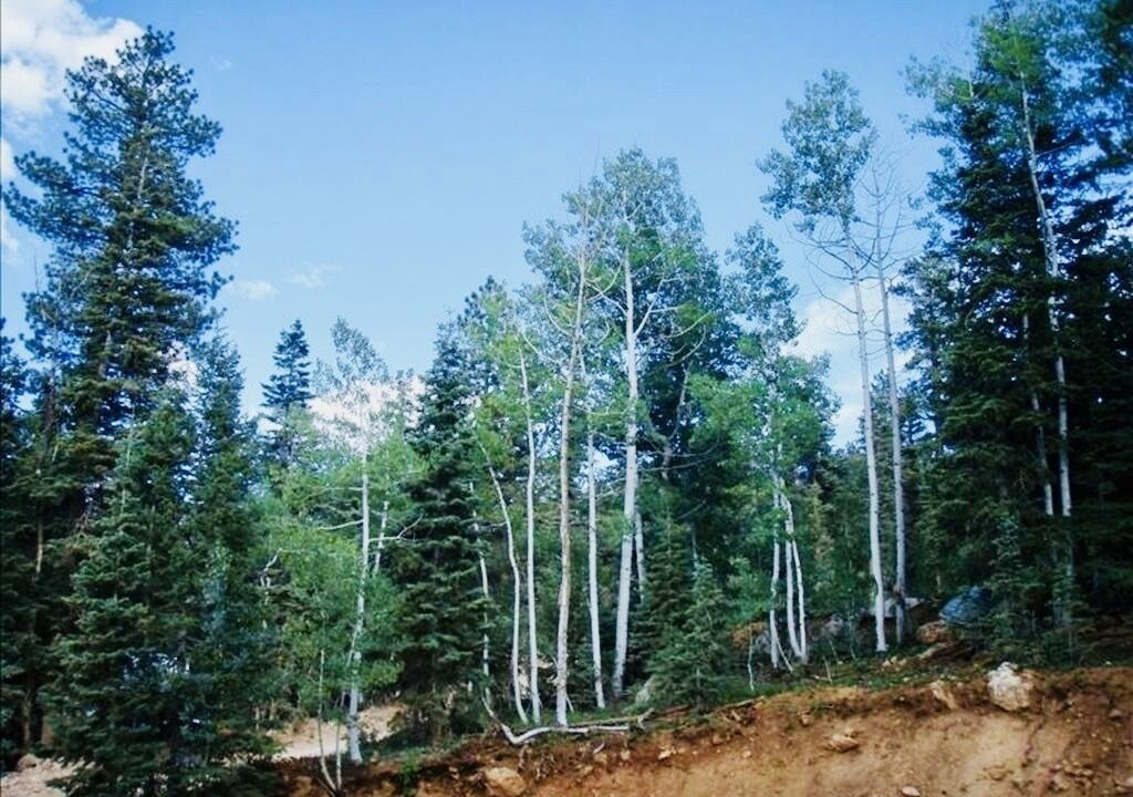 Photo of Others in Duck Creek Village