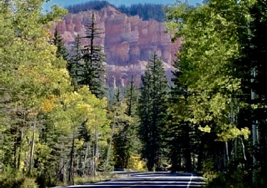 Photo of Others in Duck Creek Village