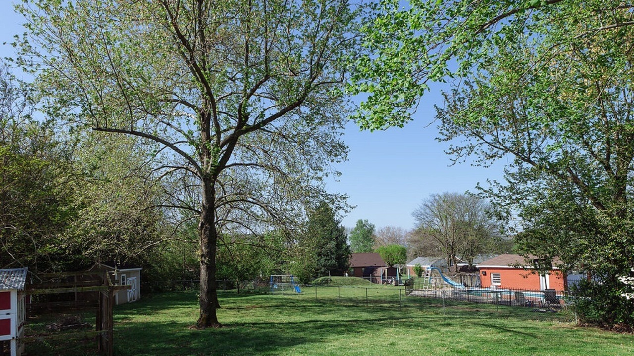 Photo of Outdoor in Merry Oaks