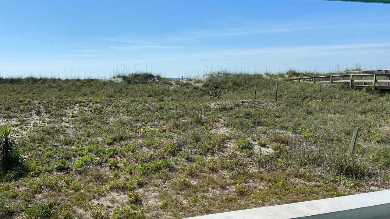 Photo of Others in North Carolina Coast