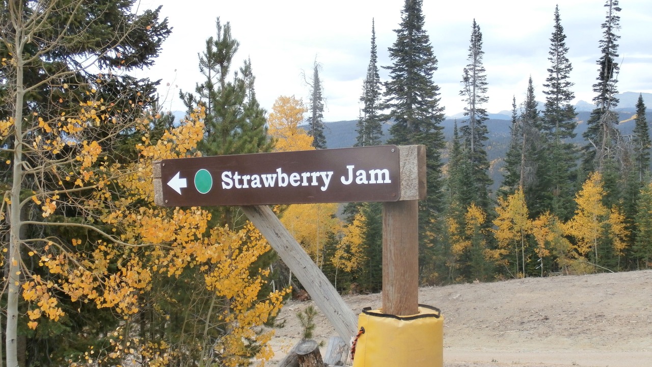 Photo of Outdoor in Silvercreek