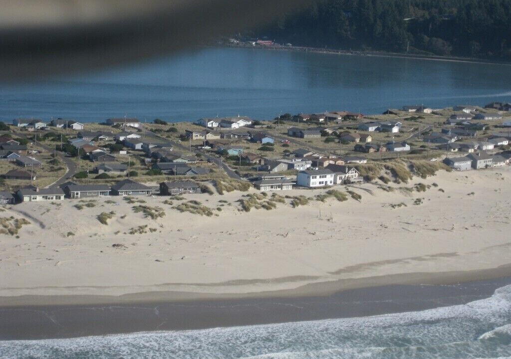 Photo of Others in Bayshore