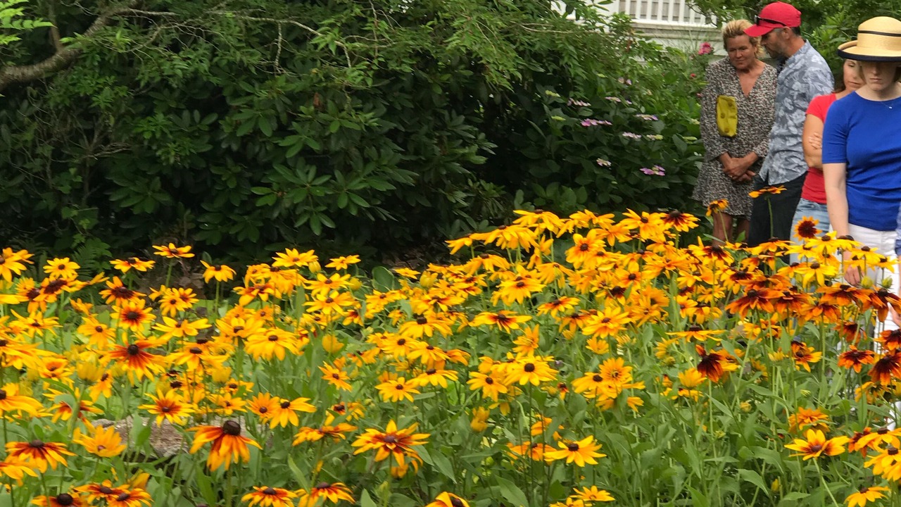 Photo of Outdoor in Nantucket Town