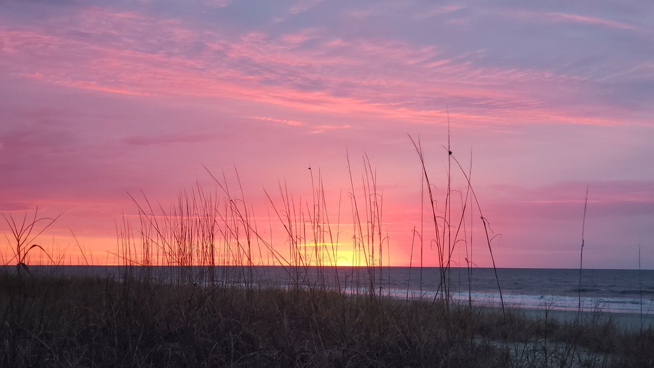 Photo of Others in Myrtle Beach