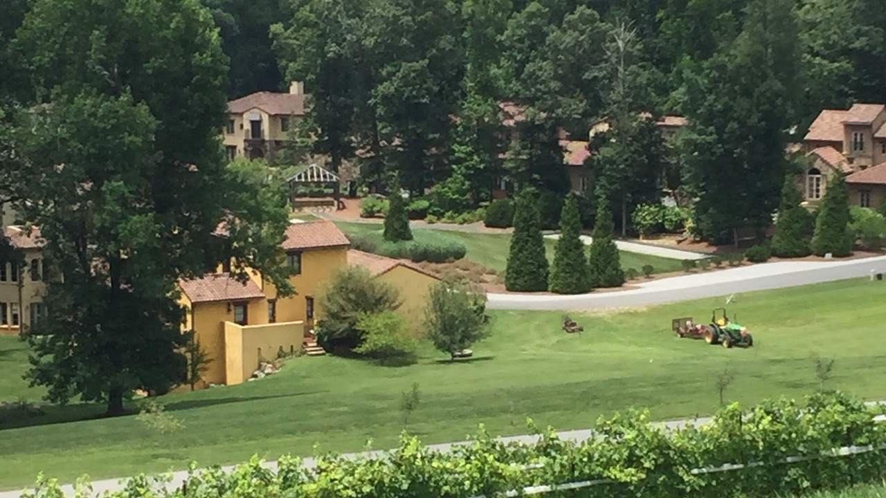 Photo of Others in Dahlonega
