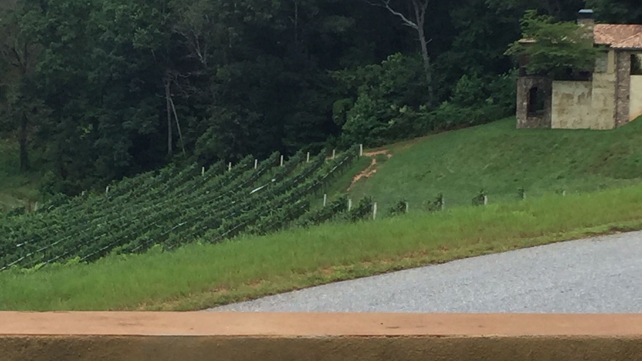 Photo of Outdoor in Dahlonega