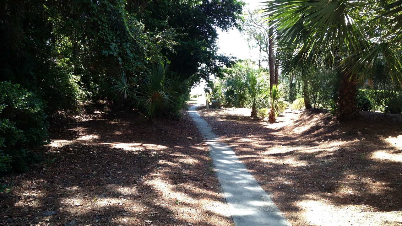 Photo of Others in Sea Pines