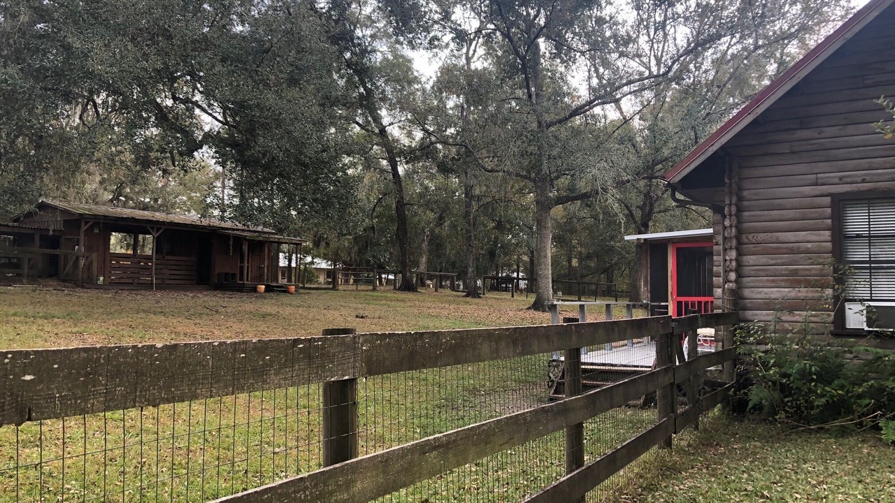 Photo of Outdoor in Reddick