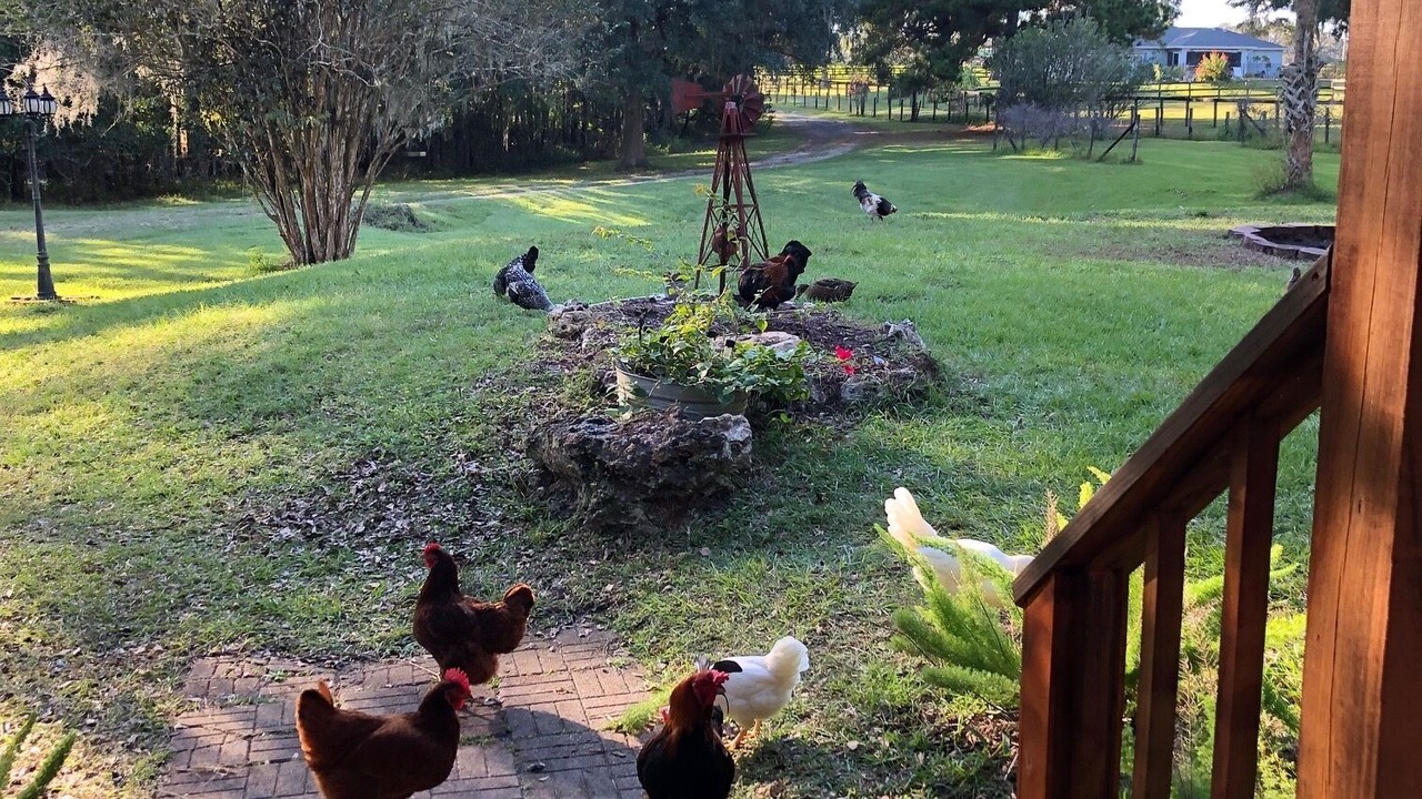 Photo of Outdoor in Reddick