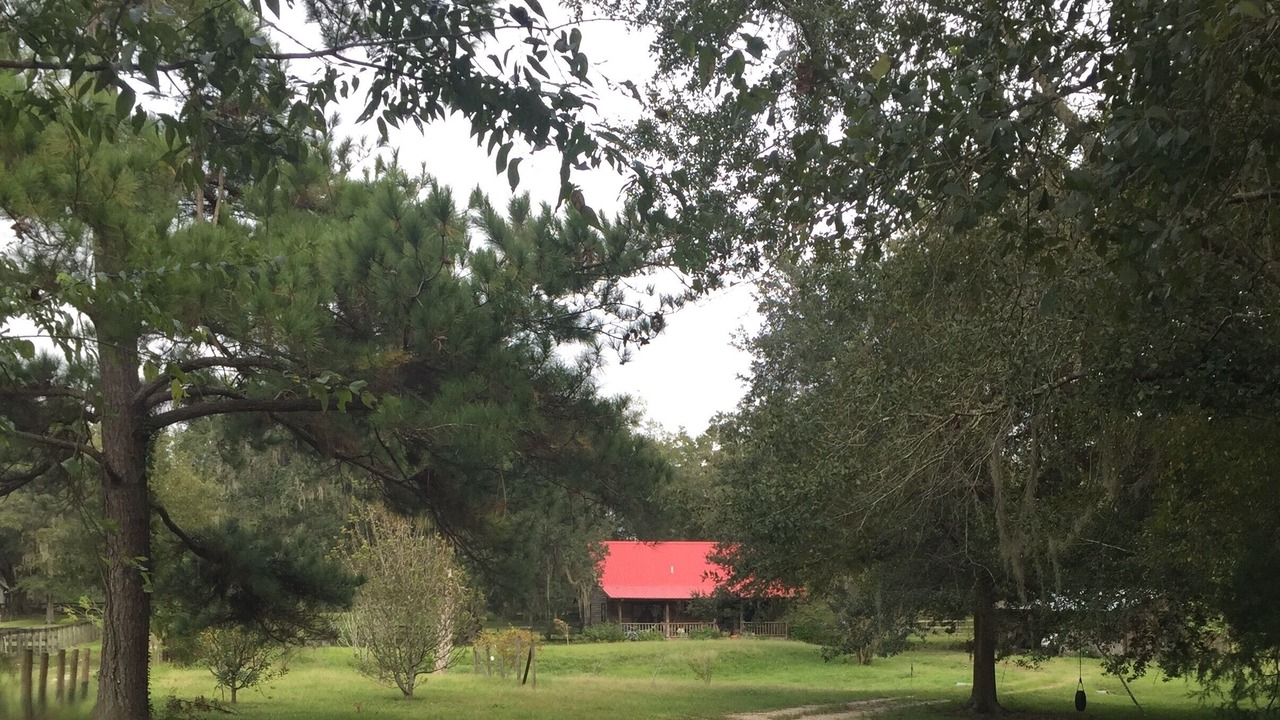 Photo of Outdoor in Reddick