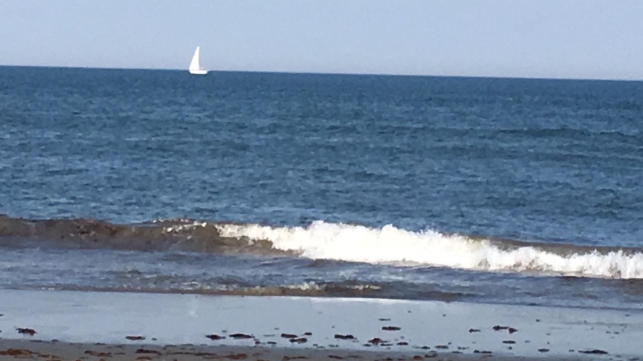 Photo of Others in Eastward Look