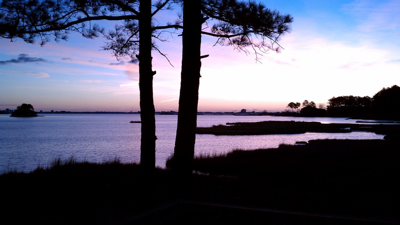 Photo of Others in Ocean Pines