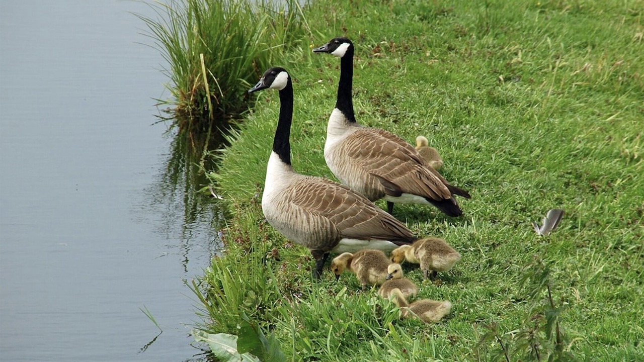 Photo of Others in Woodland Park