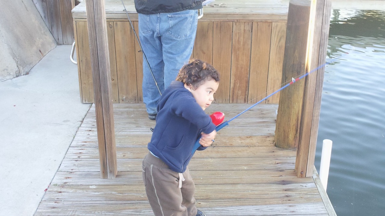 Photo of Outdoor in Palm Harbor