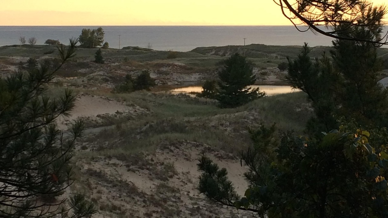 Photo of Others in Ludington