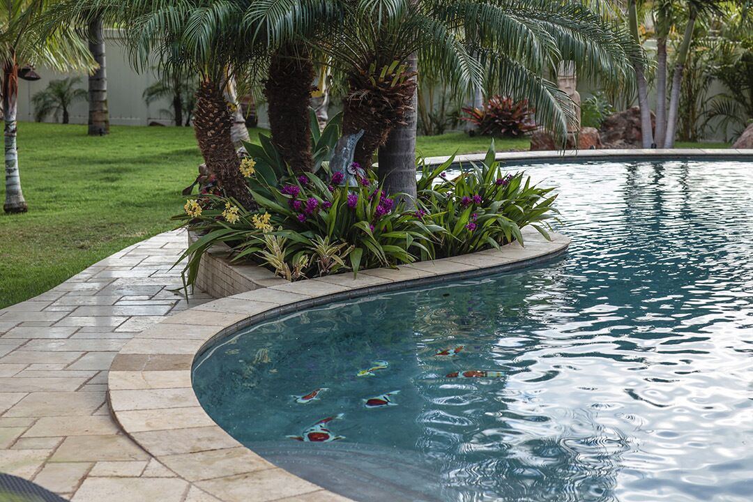 Photo of Outdoor in Kihei