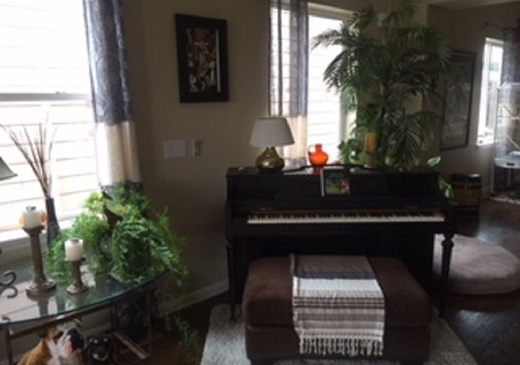 Photo of Livingroom in Broomfield