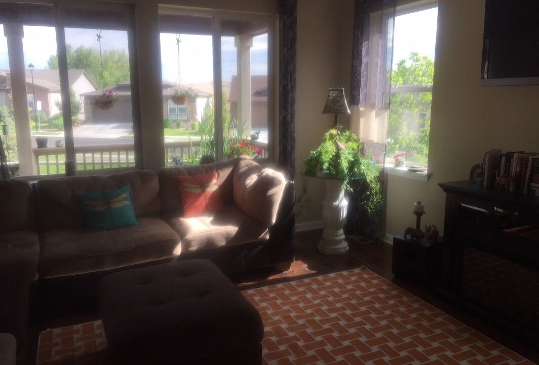 Photo of Livingroom in Broomfield