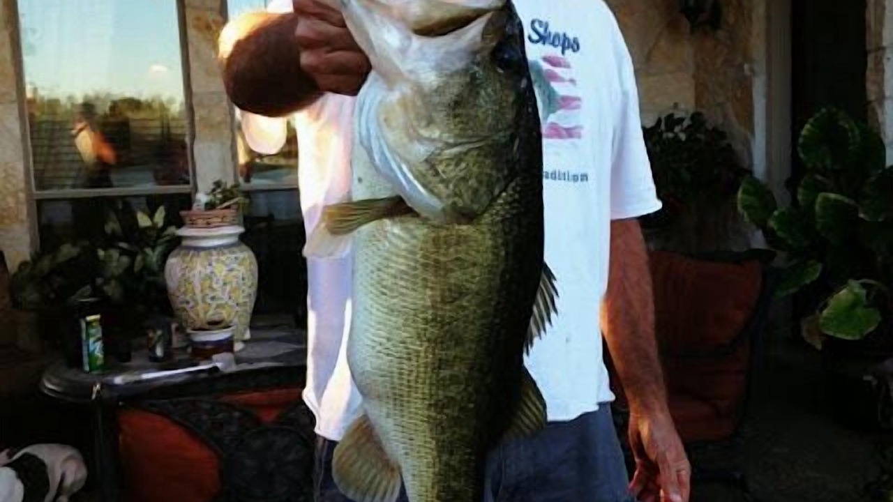 Photo of Others in Lindale