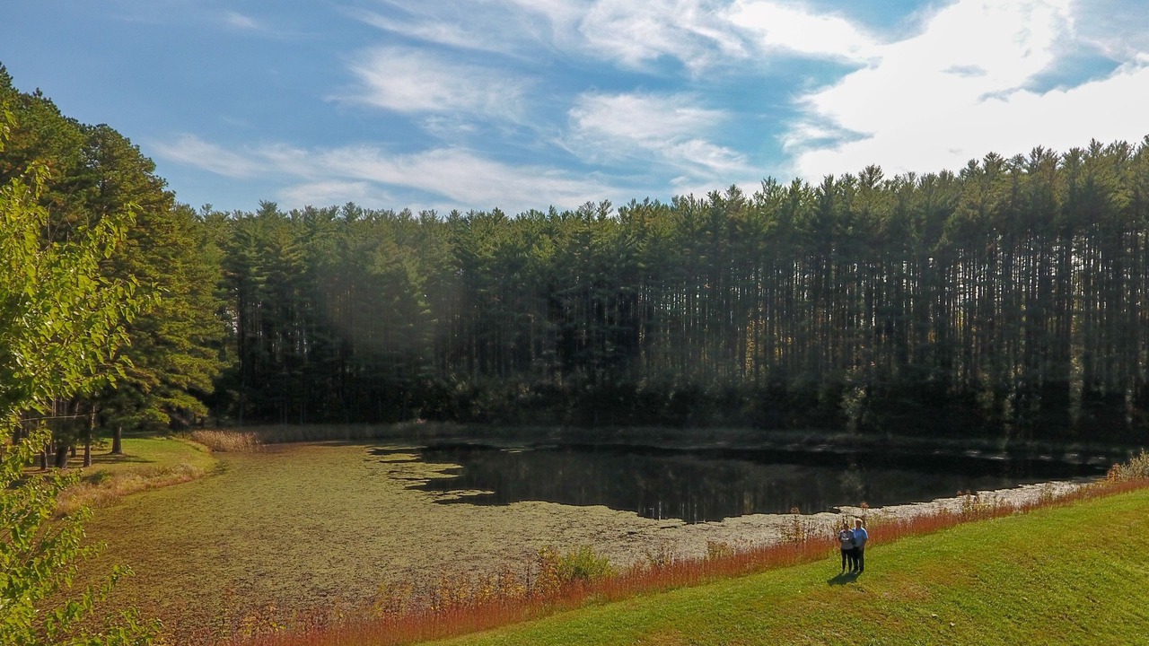 Photo of Others in Carbon Hill