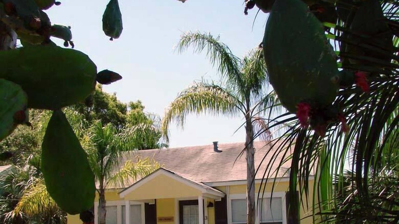 Photo of Outdoor in Fulton