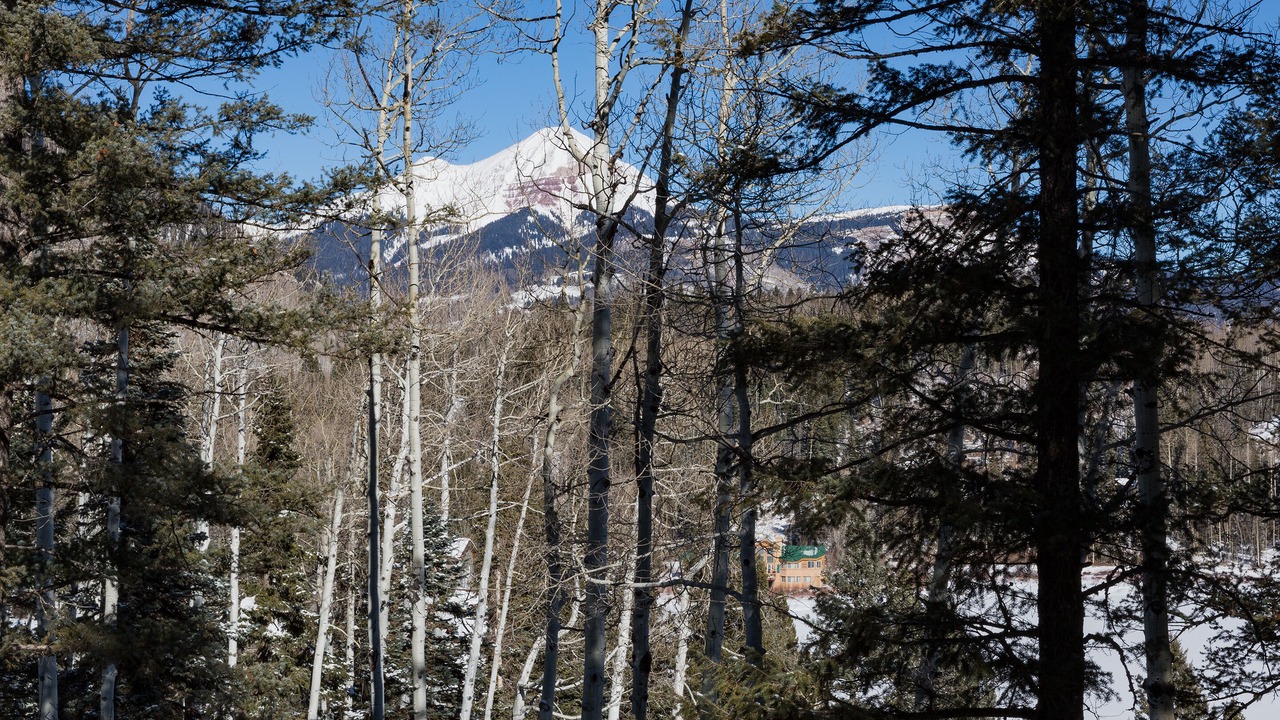 Photo of Others in Columbine Lake