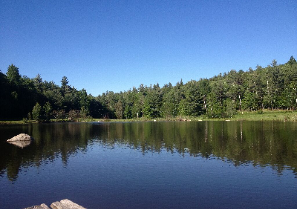Photo of Outdoor in Keene