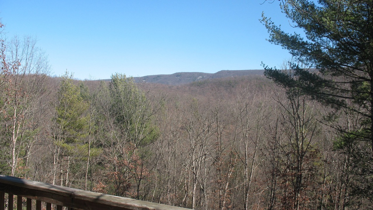 Photo of Others in Great Cacapon