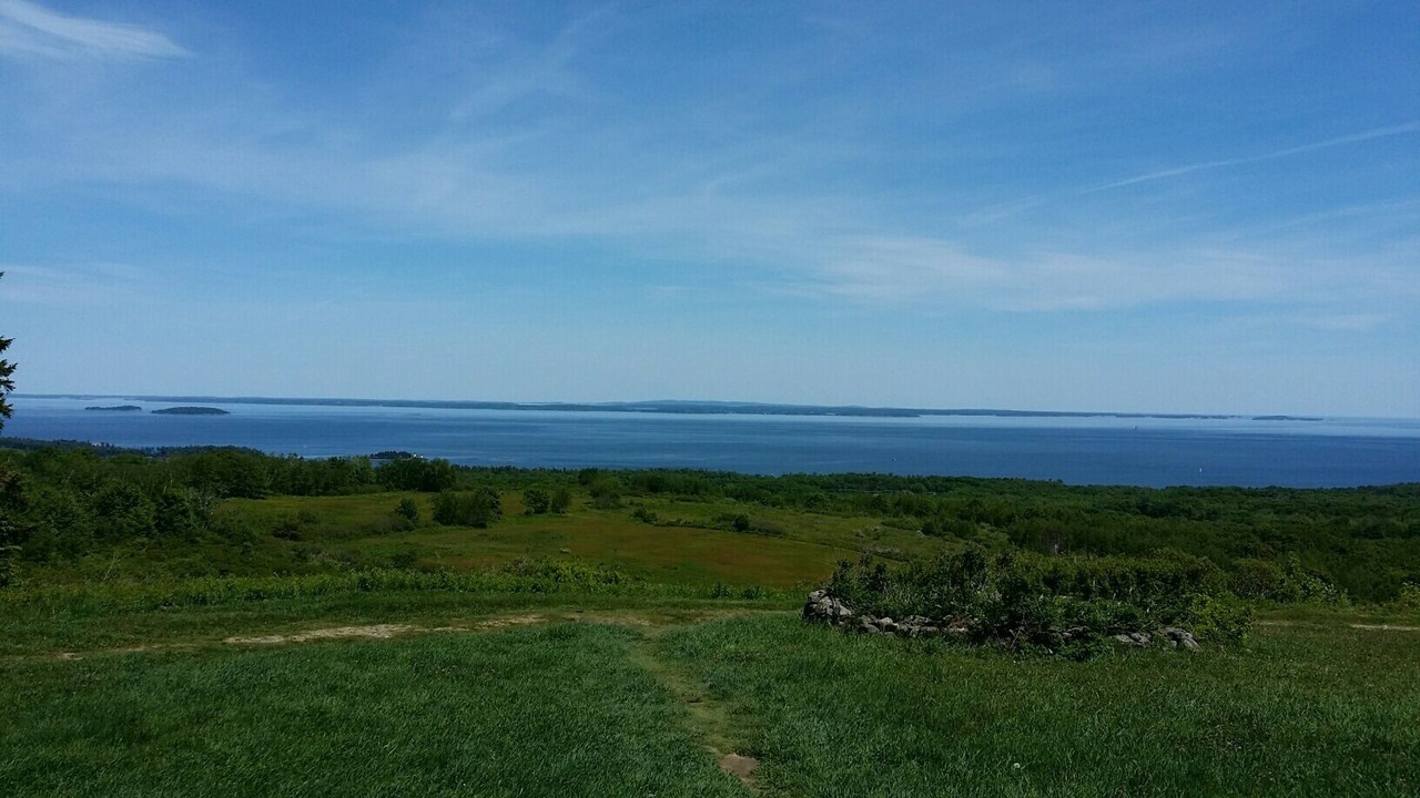 Photo of Others in Spruce Head