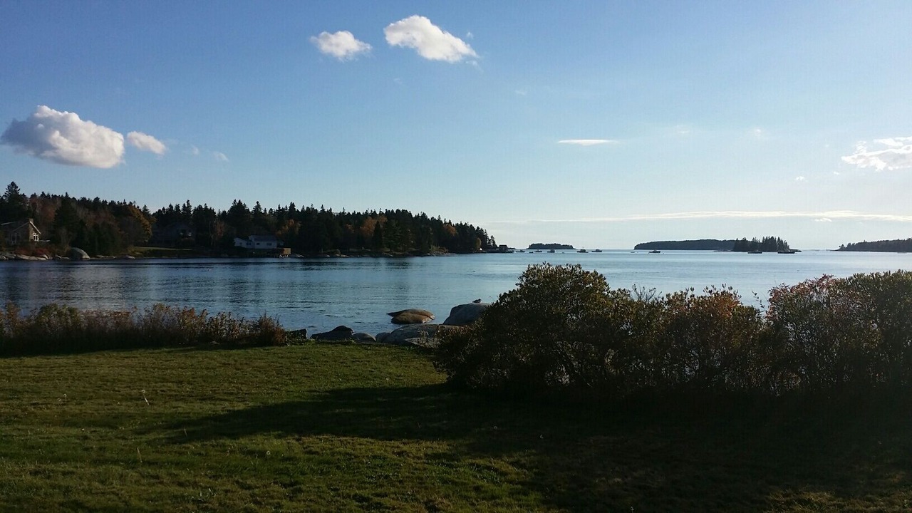 Photo of Others in Spruce Head