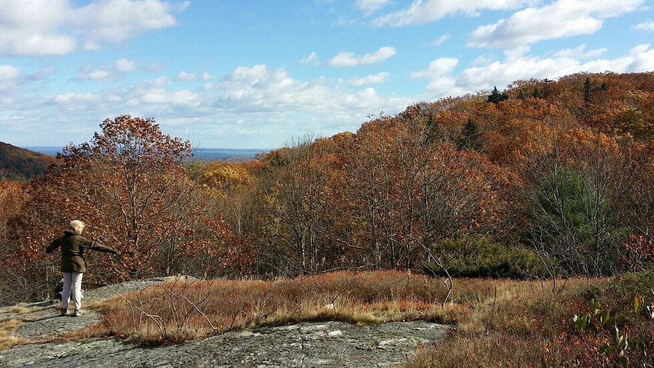 Photo of Others in Spruce Head