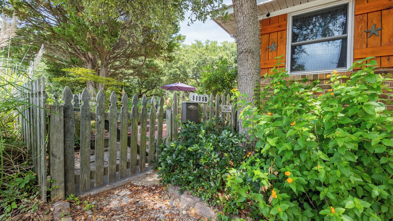 Photo of Outdoor in Northeast Virginia Beach