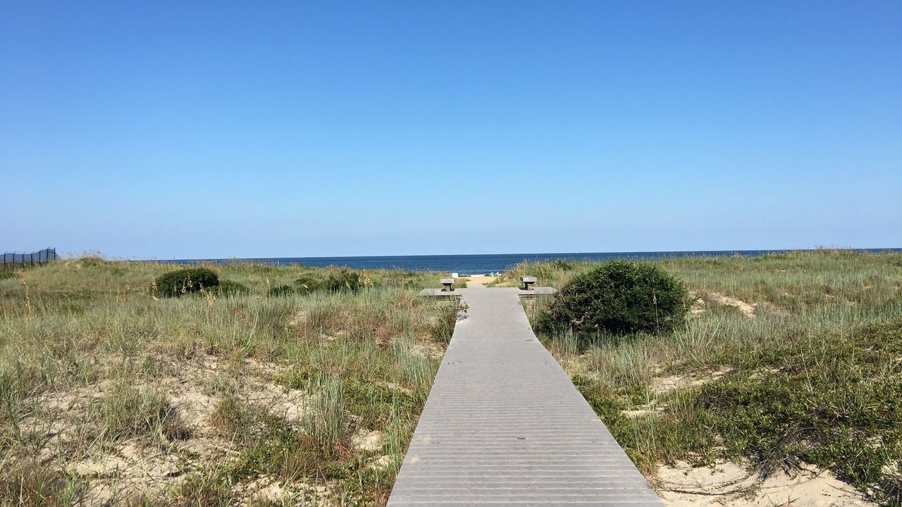 Photo of Others in Northeast Virginia Beach
