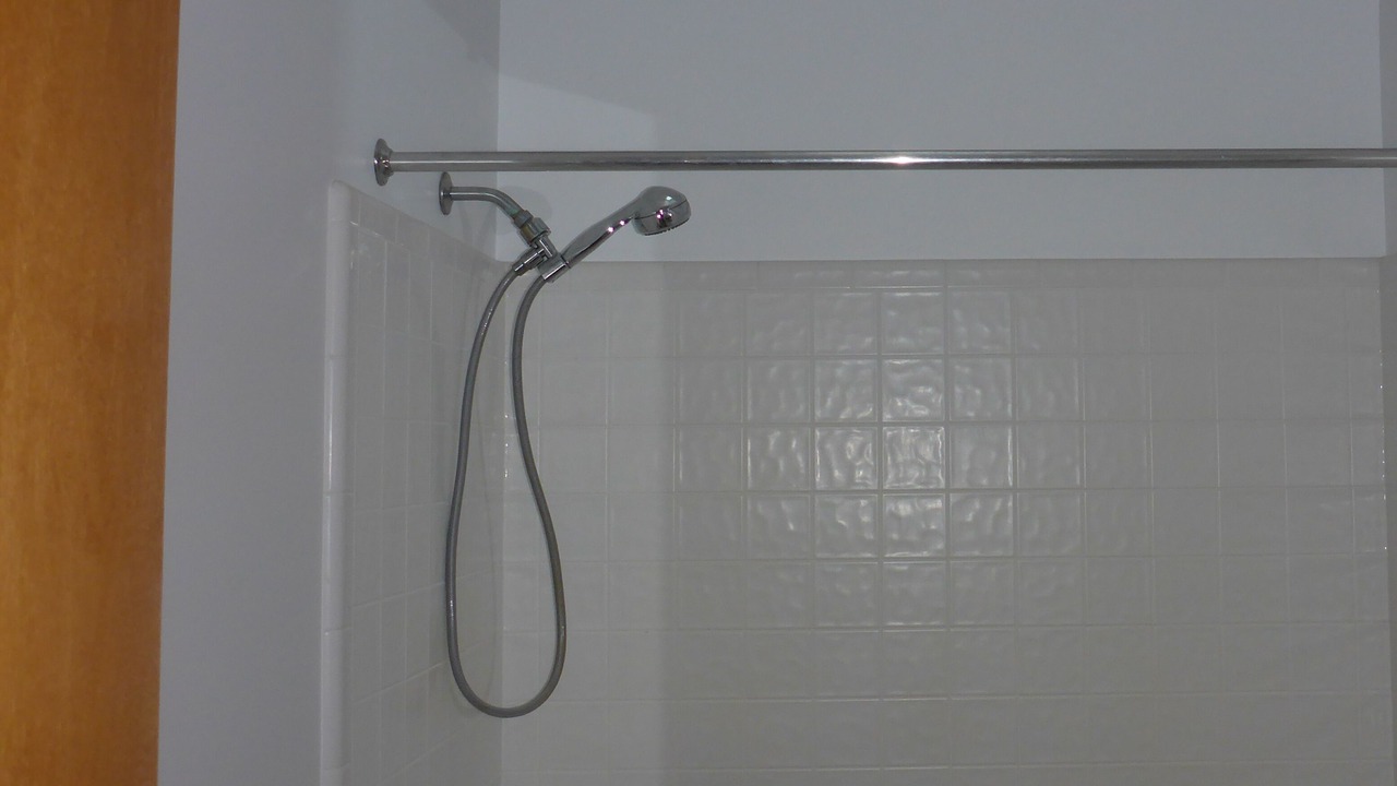 Photo of Bathroom in Pinckney