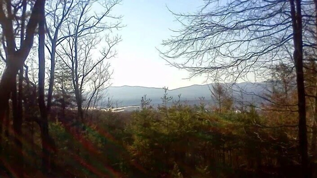Photo of Outdoor in Tallassee