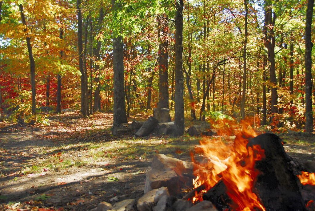 Photo of Others in Tallassee
