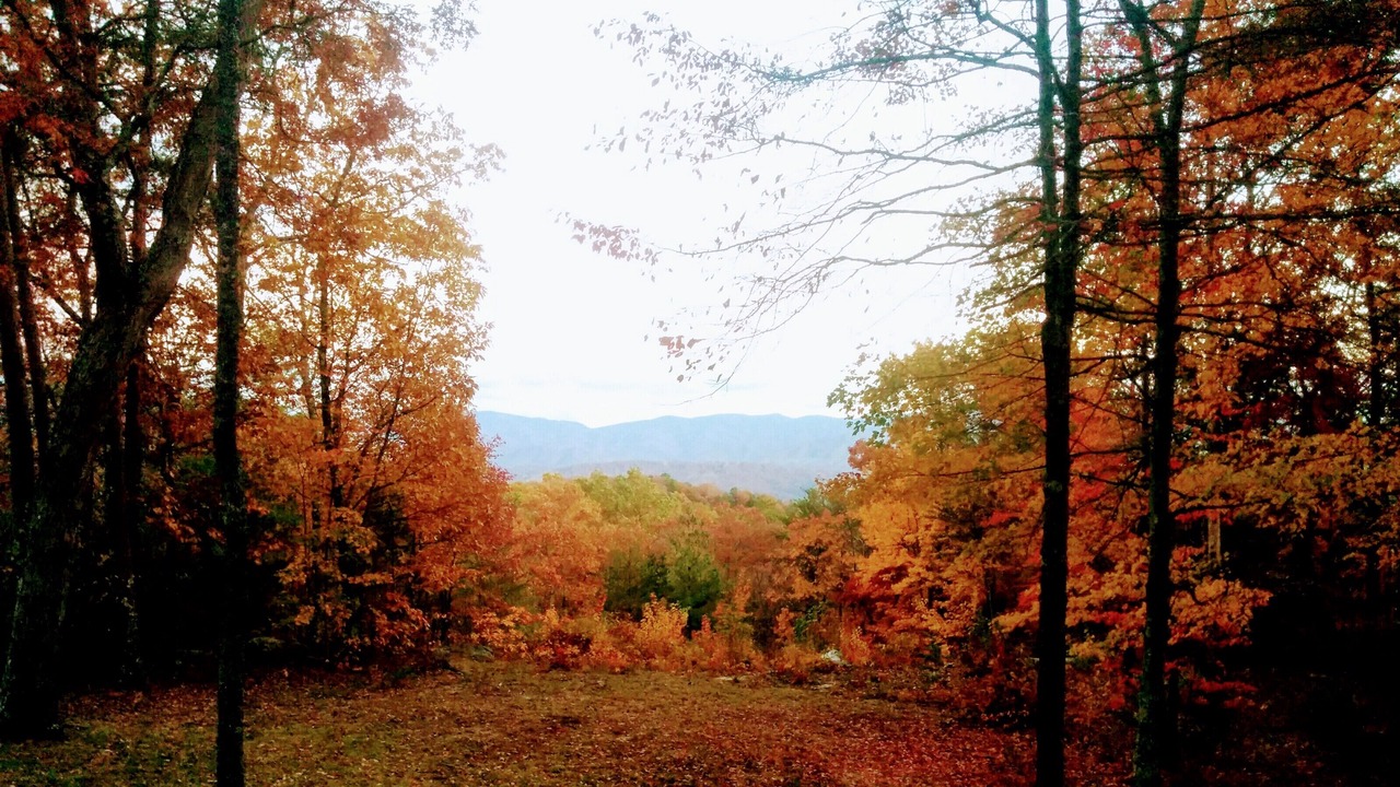 Photo of Outdoor in Tallassee