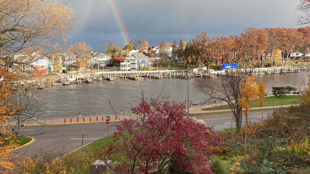 Photo of Others in South Haven