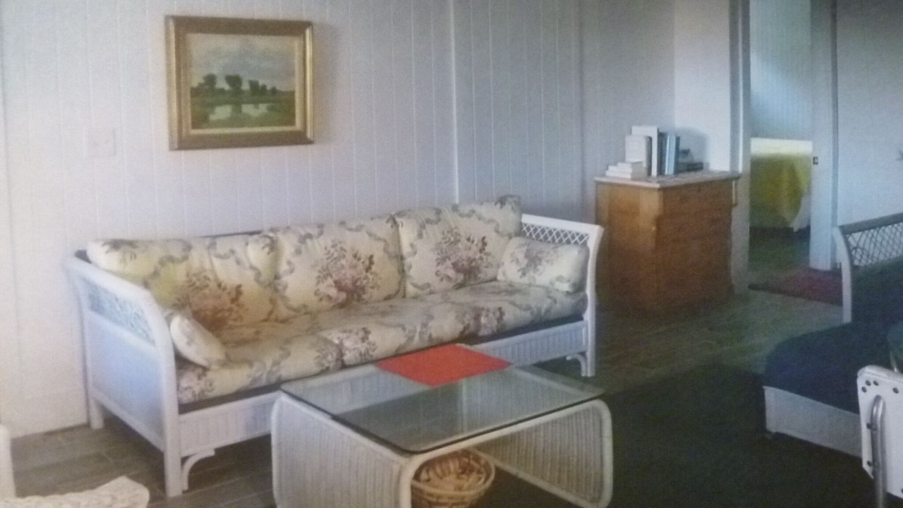 Photo of Livingroom in South Haven