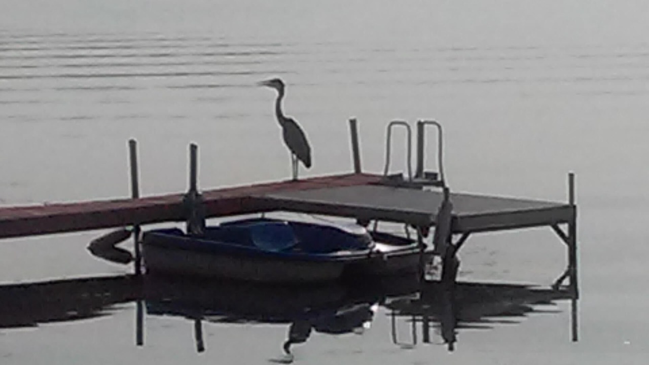 Photo of Outdoor in Cayuga