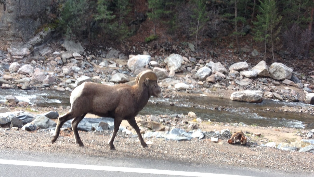 Photo of Outdoor in Estes Park