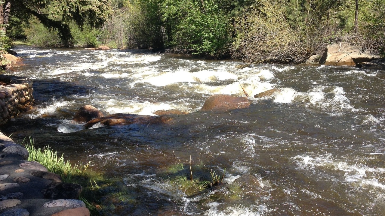 Photo of Others in Estes Park