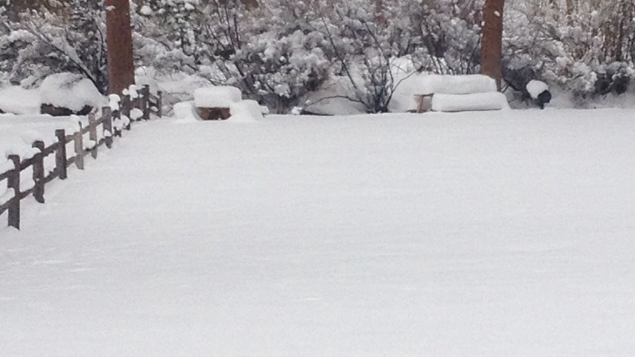 Photo of Others in Estes Park