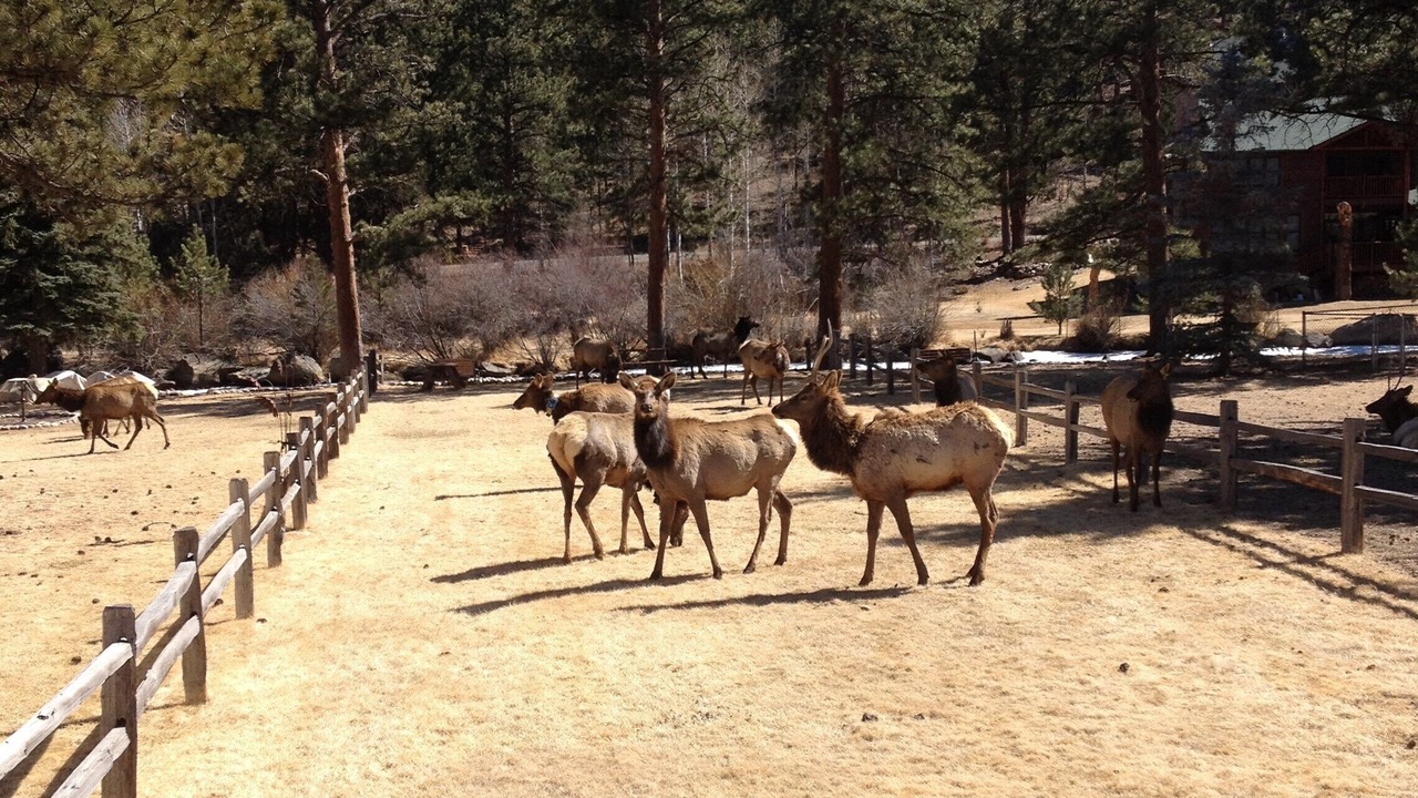 Photo of Outdoor in Estes Park