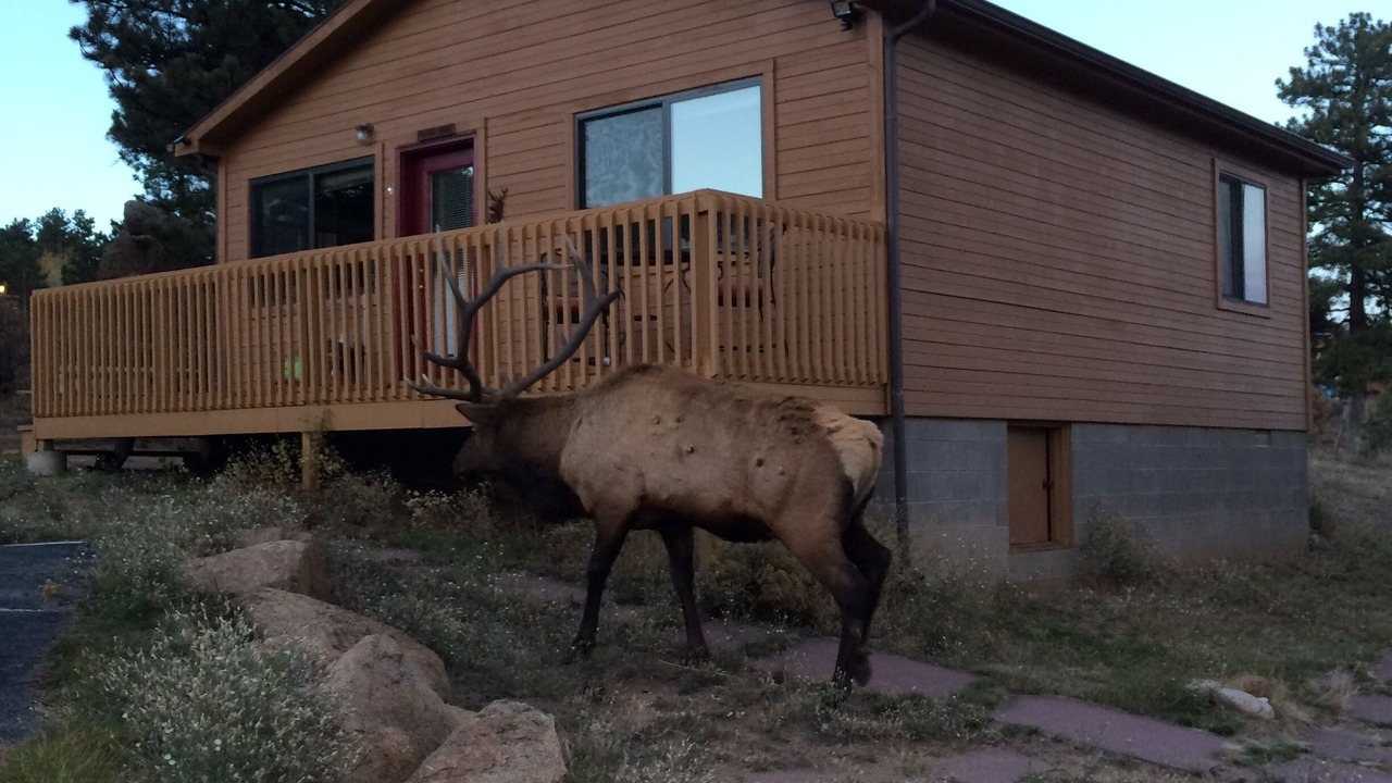 Photo of Outdoor in Estes Park