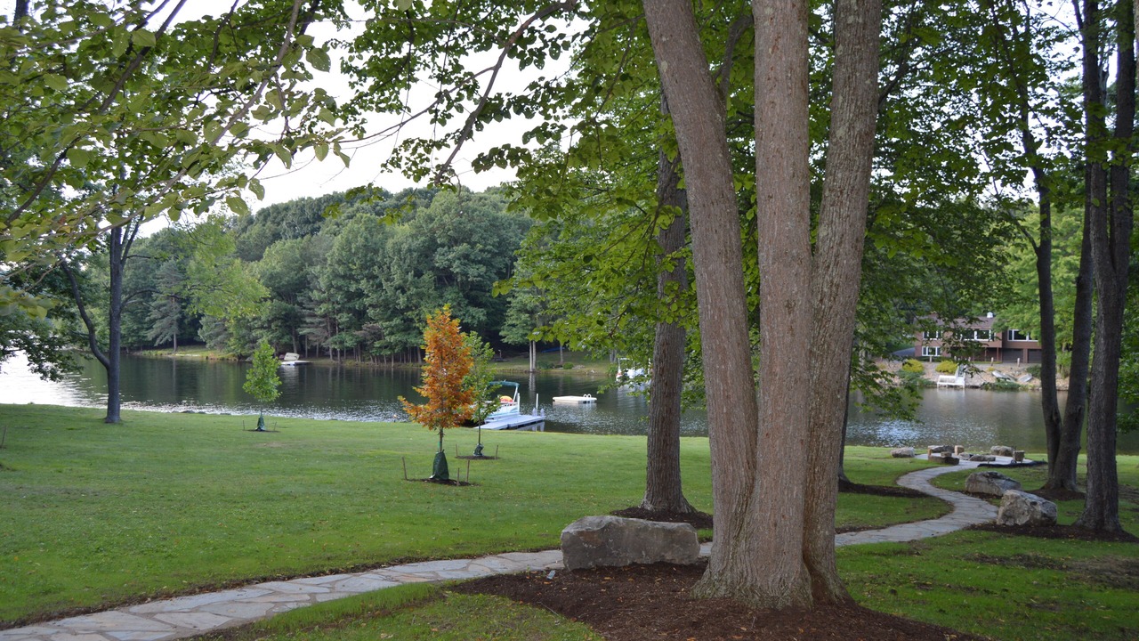 Photo of Others in Treasure Lake
