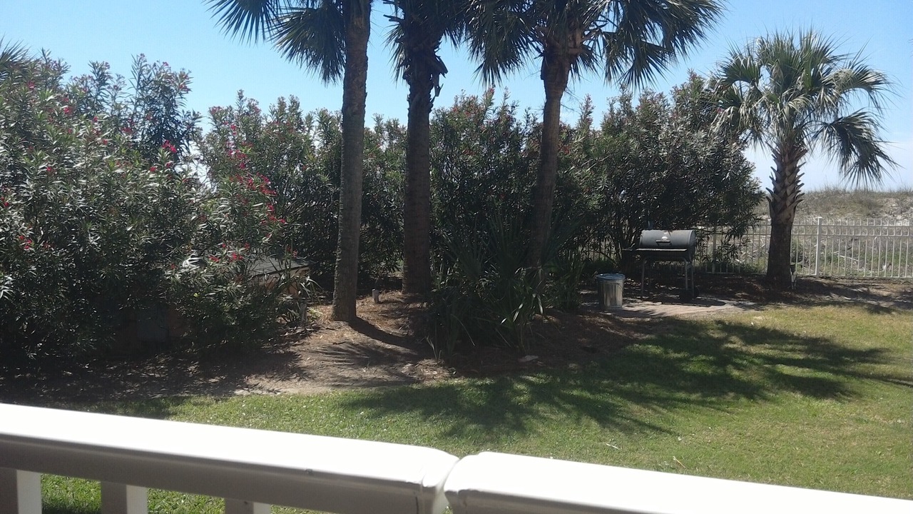 Photo of Outdoor in Dauphin Island