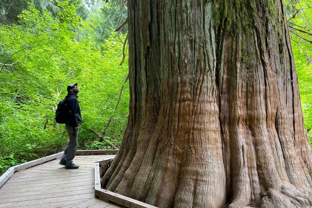Photo of Others in Enumclaw